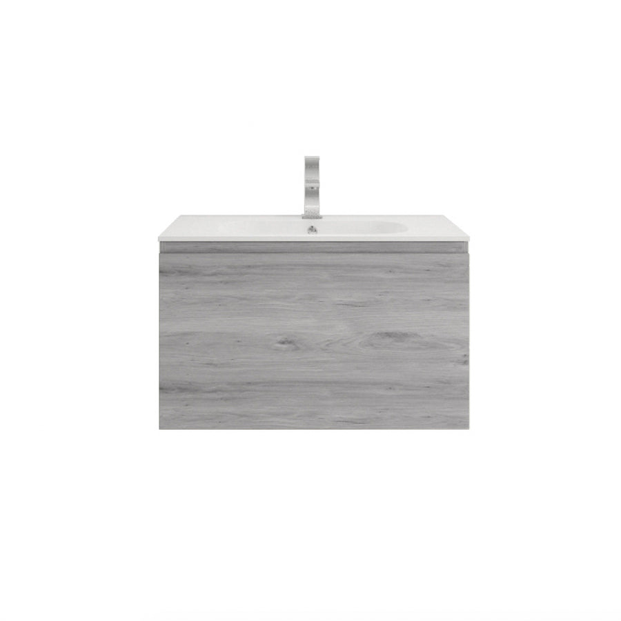 AIPO 30 Inch Wall Mounted Vanity with PVC Sink