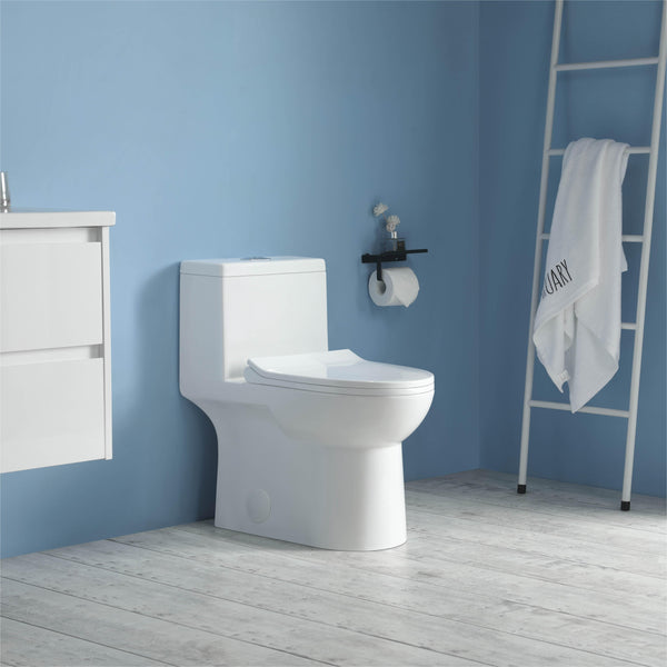 K-0324 One Piece 28" Toilet Dual Flush 10 min installation