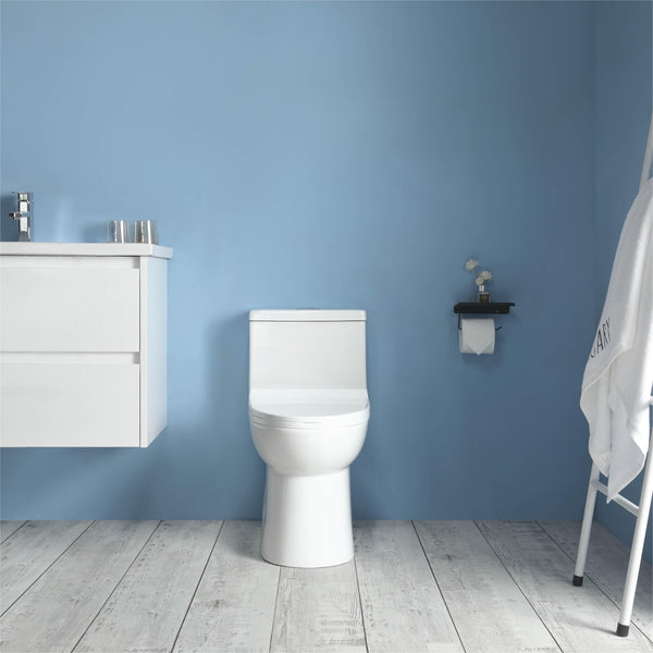 K-0324 One Piece 28" Toilet Dual Flush 10 min installation