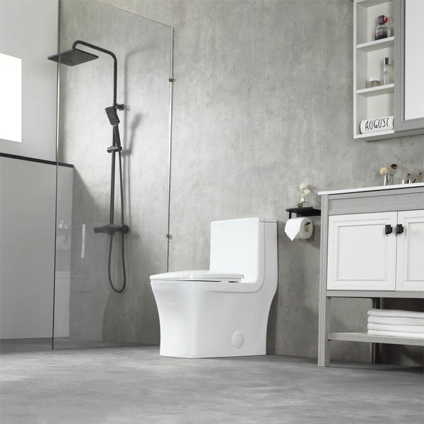 K-0329 One Piece 27" Toilet Dual Flush 10 min installation