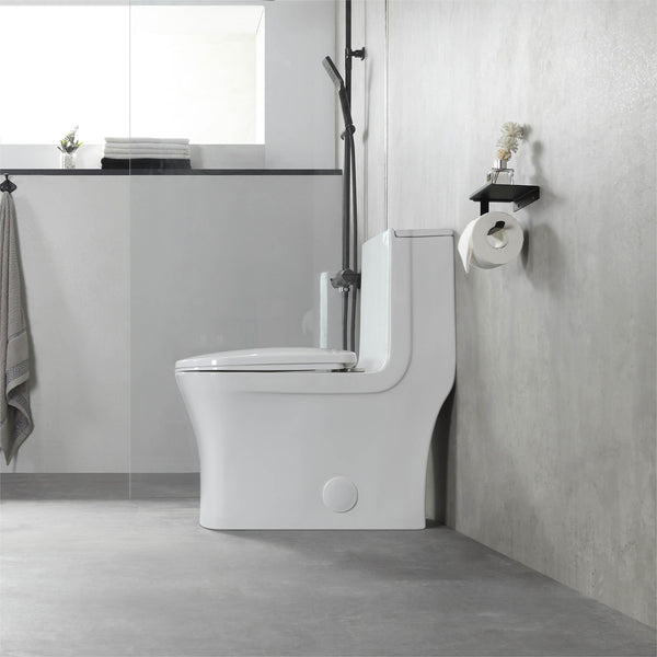 K-0329 One Piece 27" Toilet Dual Flush 10 min installation