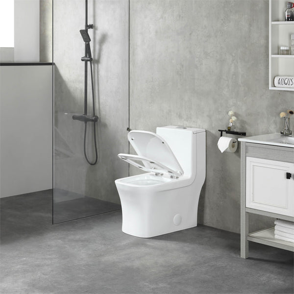K-0329 One Piece 27" Toilet Dual Flush 10 min installation