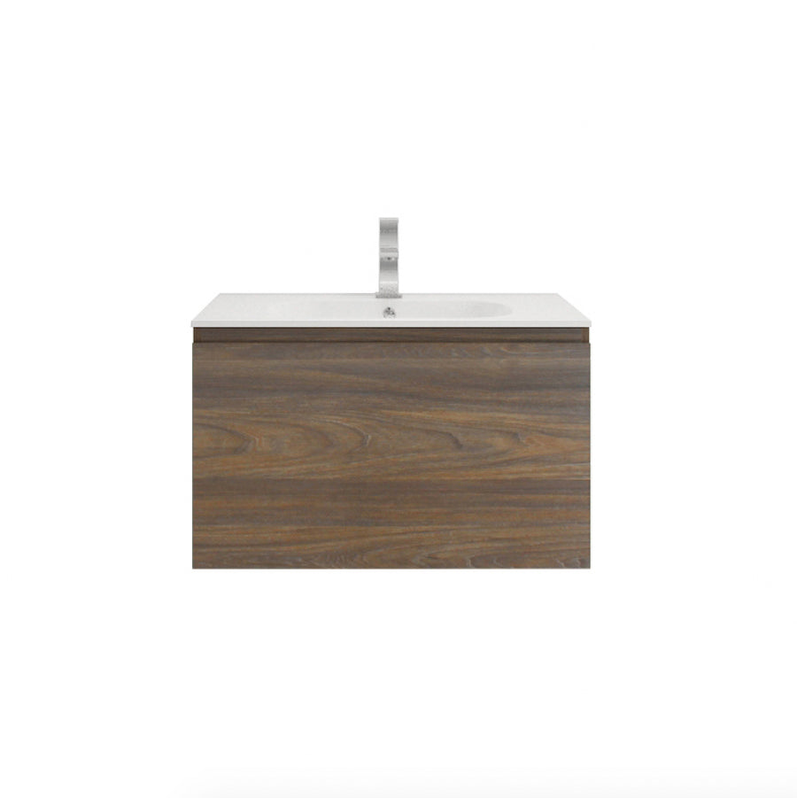 AIPO 30 Inch Wall Mounted Vanity with PVC Sink