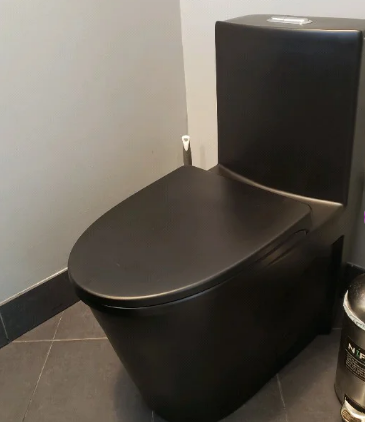 K-0382(MB Black) One Piece 28" Toilet Dual Flush