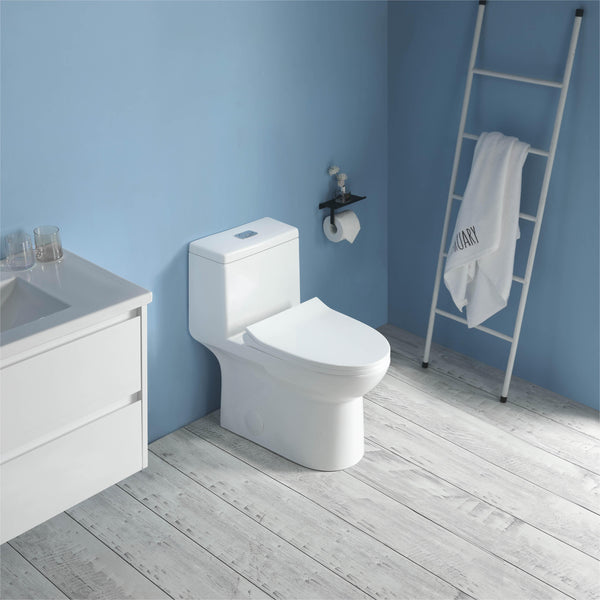 K-0324 One Piece 28" Toilet Dual Flush 10 min installation