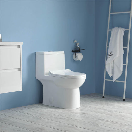 K-0324 One Piece 28" Toilet Dual Flush 10 min installation