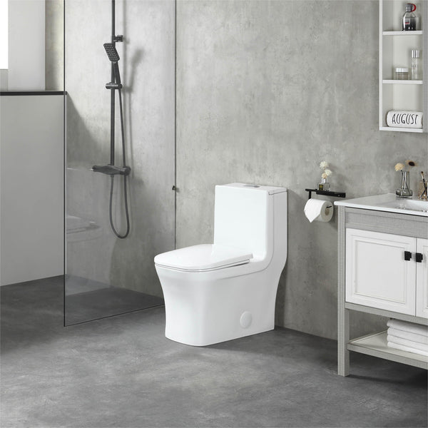 K-0329 One Piece 27" Toilet Dual Flush 10 min installation
