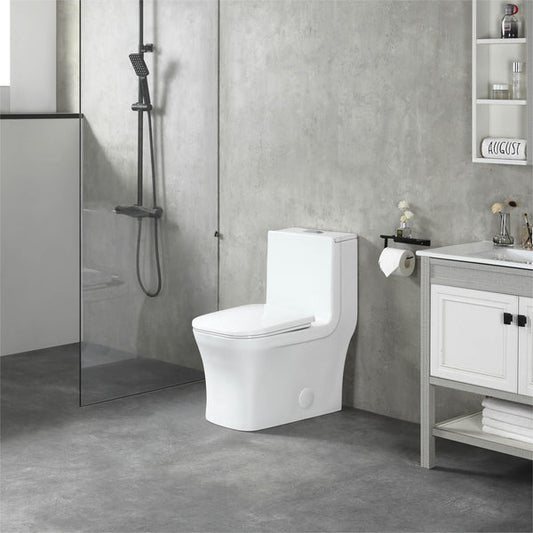 K-0329 One Piece 27" Toilet Dual Flush 10 min installation